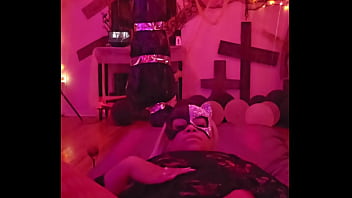 Sexy cat cleans and plays while wolf prowls