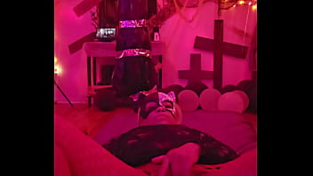 Sexy cat cleans and plays while wolf prowls