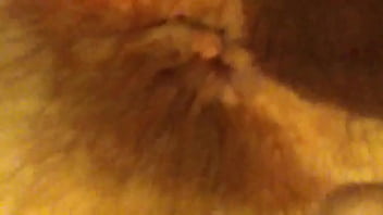 Video bokep part 5858996