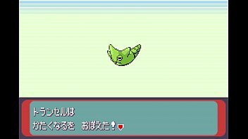ポケモンシリウス5話