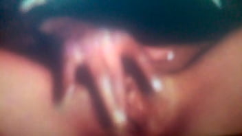 Wp 20170228 03 42 44 pro