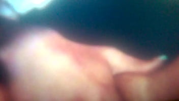 Wp 20170228 03 42 44 pro