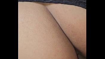 Suerte latin and cock