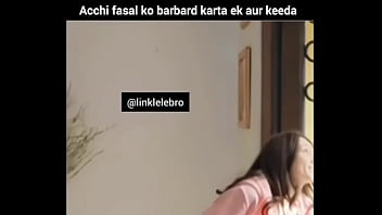 वेरीफ़िकेशन विडियो