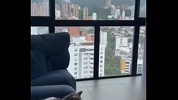 Me encanta esta vista ️