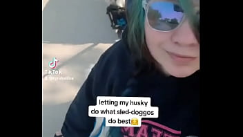 My husky pulling his older brother in the wagon