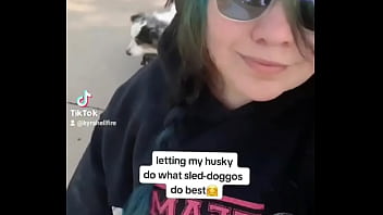 My husky pulling his older brother in the wagon