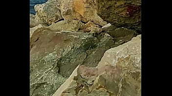 Almost caught while she sucked my cock