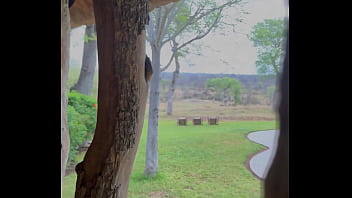 Hello la team je vous présente la 1ere partie de mon voyage en afrique du sud