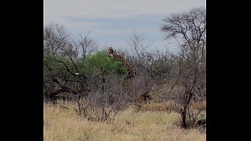 Hello la team je vous présente la 1ere partie de mon voyage en afrique du sud