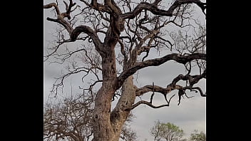 Hello la team je vous présente la 1ere partie de mon voyage en afrique du sud
