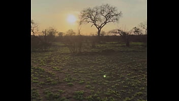 Hello la team je vous présente la 1ere partie de mon voyage en afrique du sud