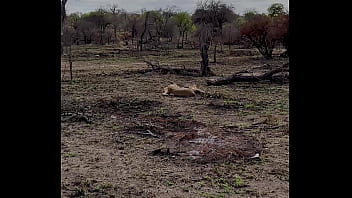 Hello la team je vous présente la 1ere partie de mon voyage en afrique du sud