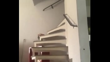 Me come na escada vou ser sua putinha