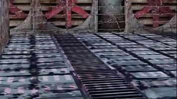 Mmd petrification video 001