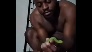 Other colors these scorpio zodiac animals show up in 8