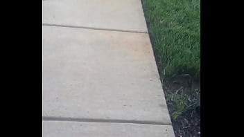 Ebony black booty voyeur