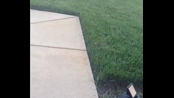 Ebony black booty voyeur