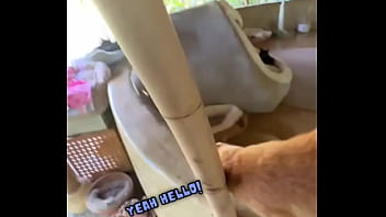 Do you love cats in chiang mai there's a beautiful place called suanmeow maewang check them out and visit th