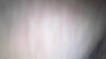 Minhq Gata thumbnail