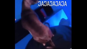 Comodito Comodito