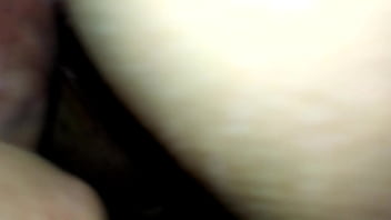 Bounce Bounce