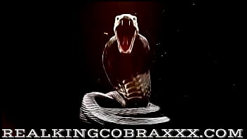 Happy thick ass and thighs hot content alert my holes belong to king cobra feat sexy