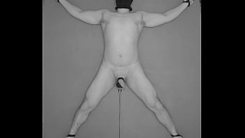 Collectively Fried Balls Officially Started Institution X Is Executing It Find Out How You Can Participate In It Electro Estim Torment Electrostimulation Shocked Testicles thumbnail