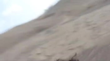 Uriel no llego a usa