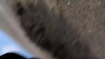 Uriel no llego a usa