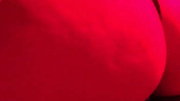 Denielle wegrzyn loves z