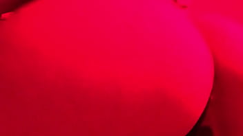 Denielle wegrzyn loves z