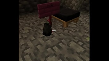 Pto Pinguino thumbnail