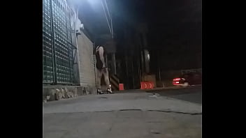 Travestixvideos thumbnail