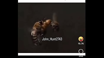 Lmmfao️ update #3 2025 01 09t02 43 43 000z