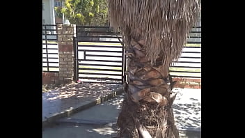 Analebony's christmas message