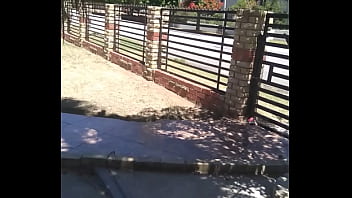 Analebony's christmas message