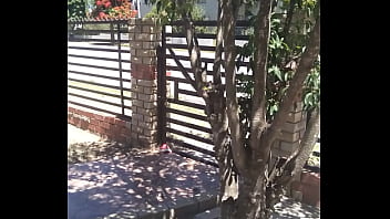 Analebony's christmas message