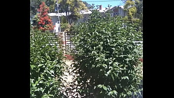 Analebony's christmas message