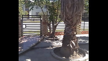 Analebony's christmas message