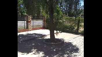 Analebony's christmas message