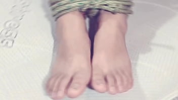 Perrita travesti amarrada masturbandose