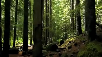 Meditacion guiada hola meditacion guiada