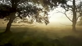 Meditacion guiada hola meditacion guiada