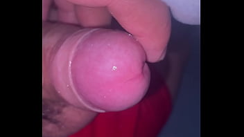 Pekeshow1620 update #16 6b3b3d4c 2069 49f3 97ea 607a8f23feed mar 23 2025