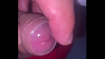 Pekeshow1620 update #16 6b3b3d4c 2069 49f3 97ea 607a8f23feed mar 23 2025