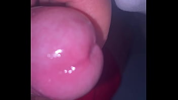 Pekeshow1620 update #16 6b3b3d4c 2069 49f3 97ea 607a8f23feed mar 23 2025