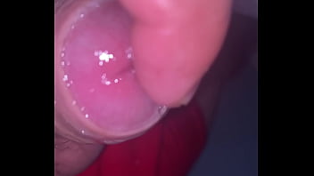 Pekeshow1620 update #16 6b3b3d4c 2069 49f3 97ea 607a8f23feed mar 23 2025