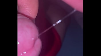 Pekeshow1620 update #16 6b3b3d4c 2069 49f3 97ea 607a8f23feed mar 23 2025