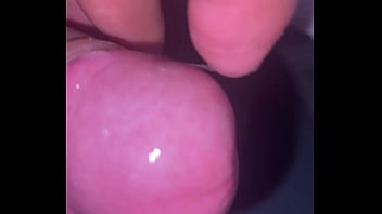 Pekeshow1620 update #16 6b3b3d4c 2069 49f3 97ea 607a8f23feed mar 23 2025